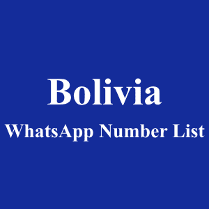 Bolivia WhatsApp Number List