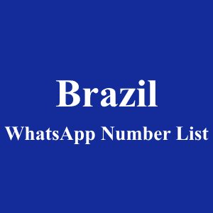 Brazil WhatsApp Number List