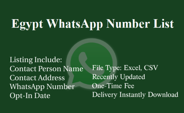 Egypt whatsapp number database