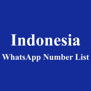 印度尼西亚 WhatsApp 号码列表