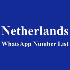 荷兰 WhatsApp 号码列表