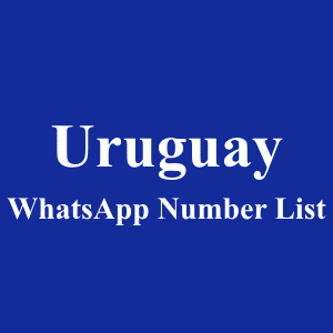 Uruguay WhatsApp Number List